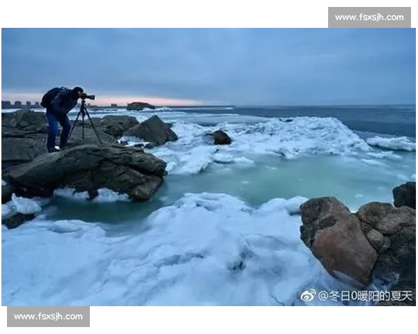 野牛对决棕熊力量耐力与生存智慧的巅峰较量自然荒原中的终极对抗
